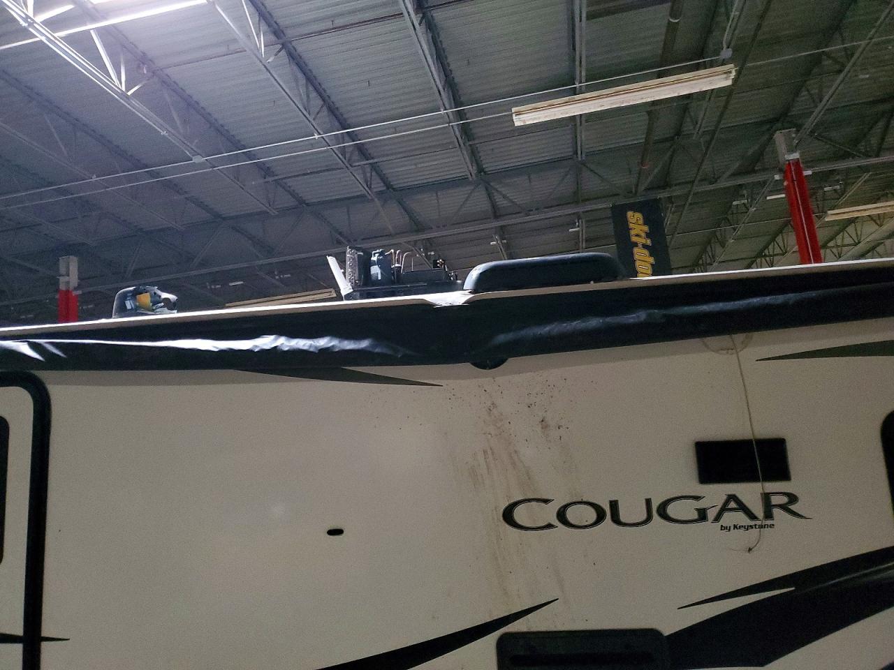 Keystone Cougar