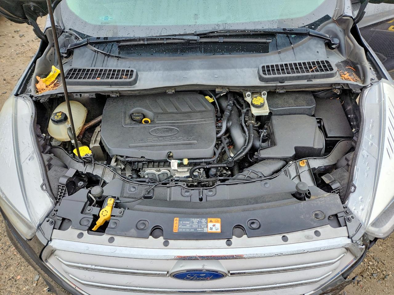 Ford Escape Se