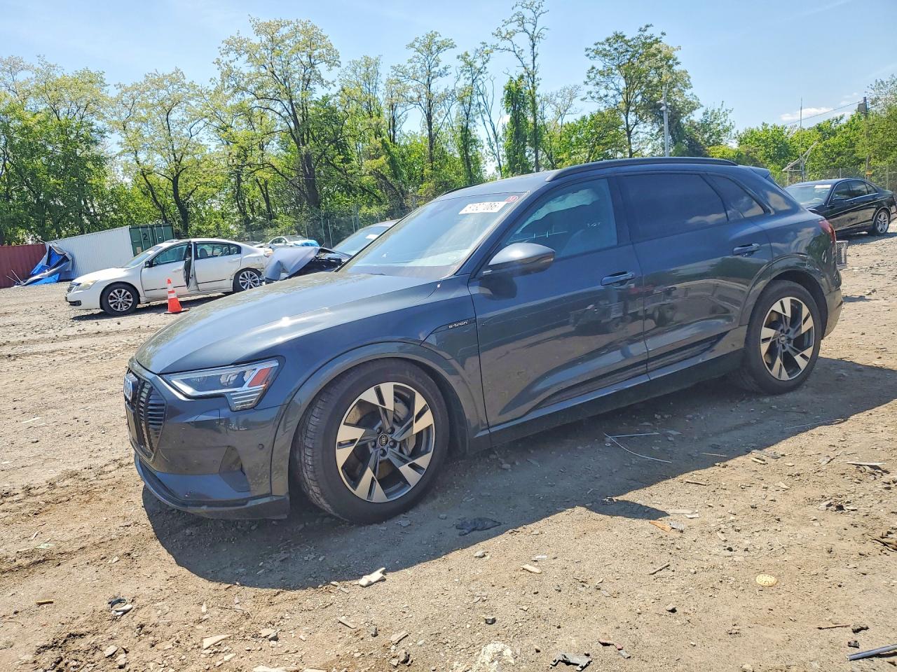 Salvage Audi e-tron Image
