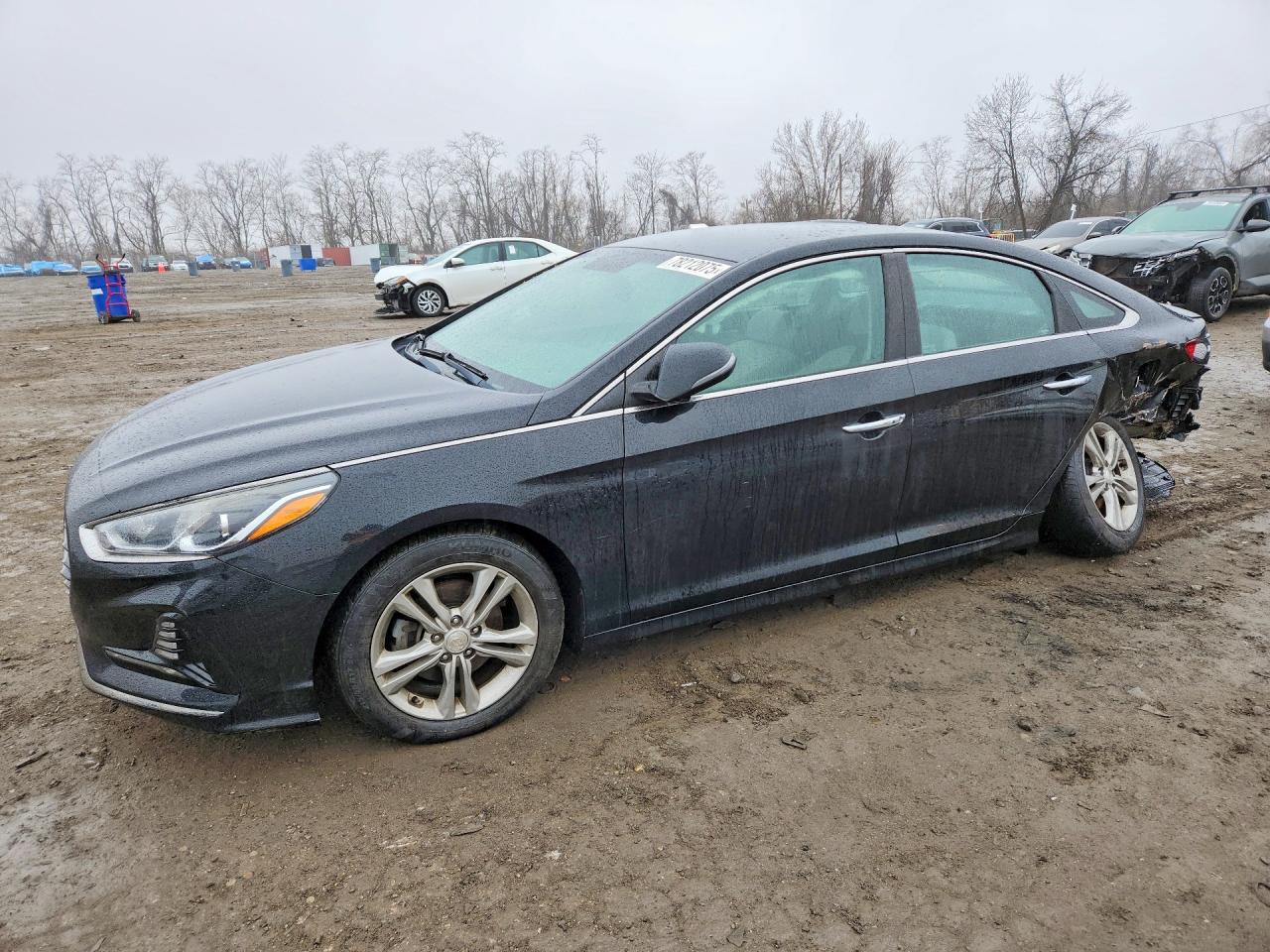 Salvage Hyundai SONATA Image