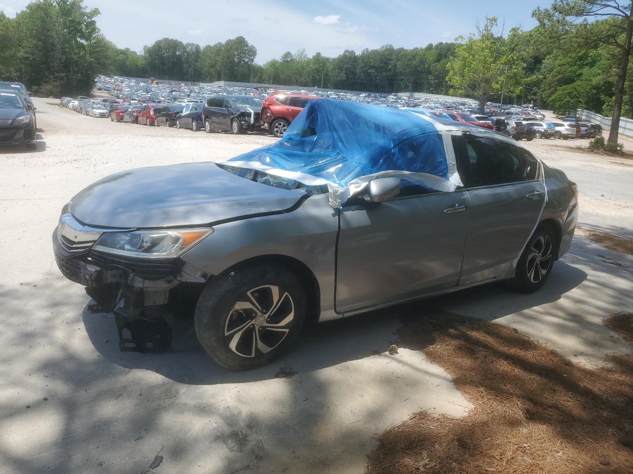 Salvage Honda Accord Image