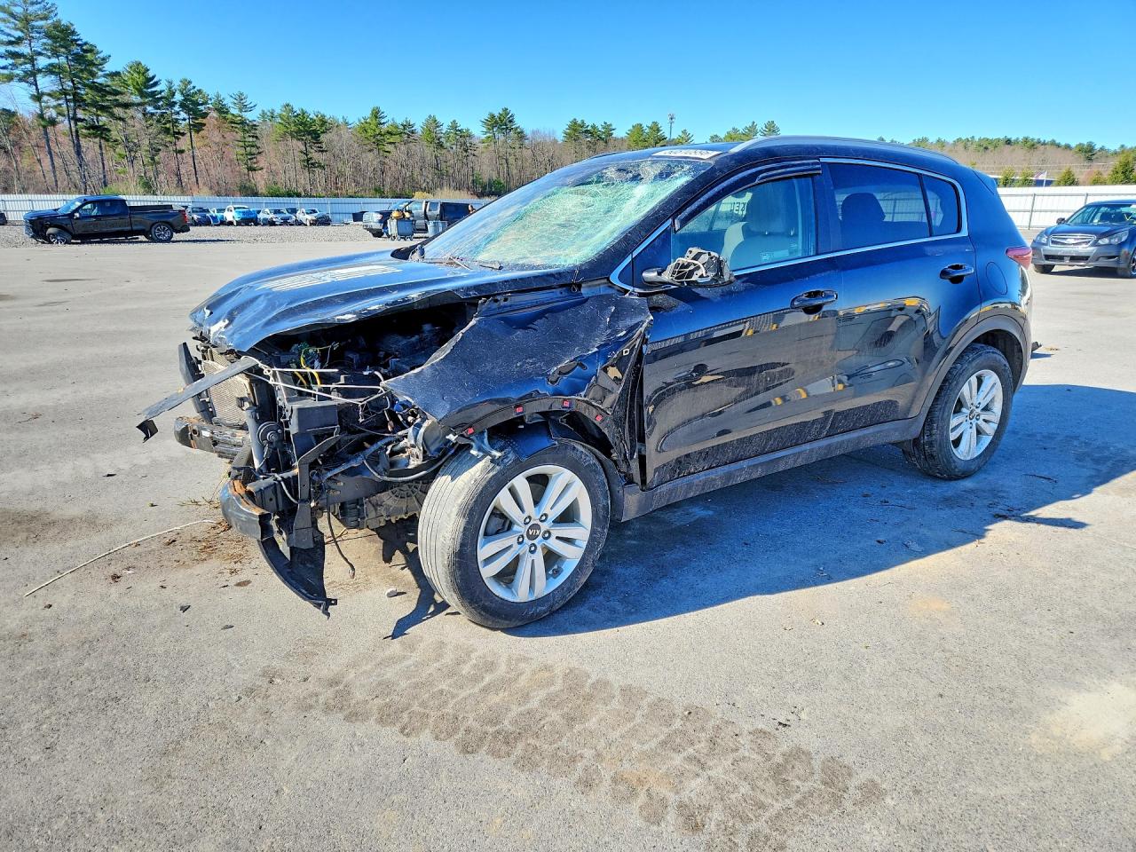 Salvage Kia Sportage Image