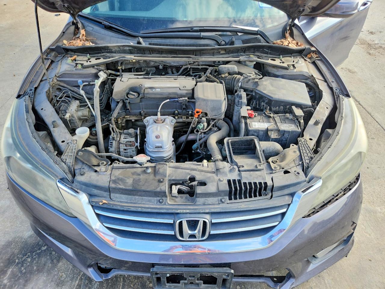 Honda Accord Exl