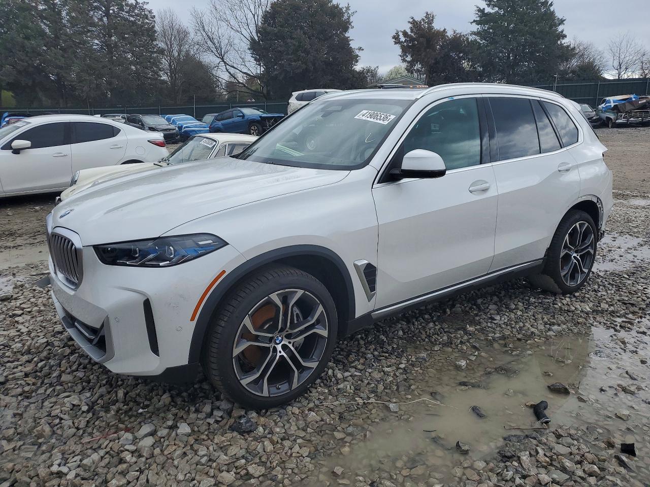 Salvage BMW X Series Image
