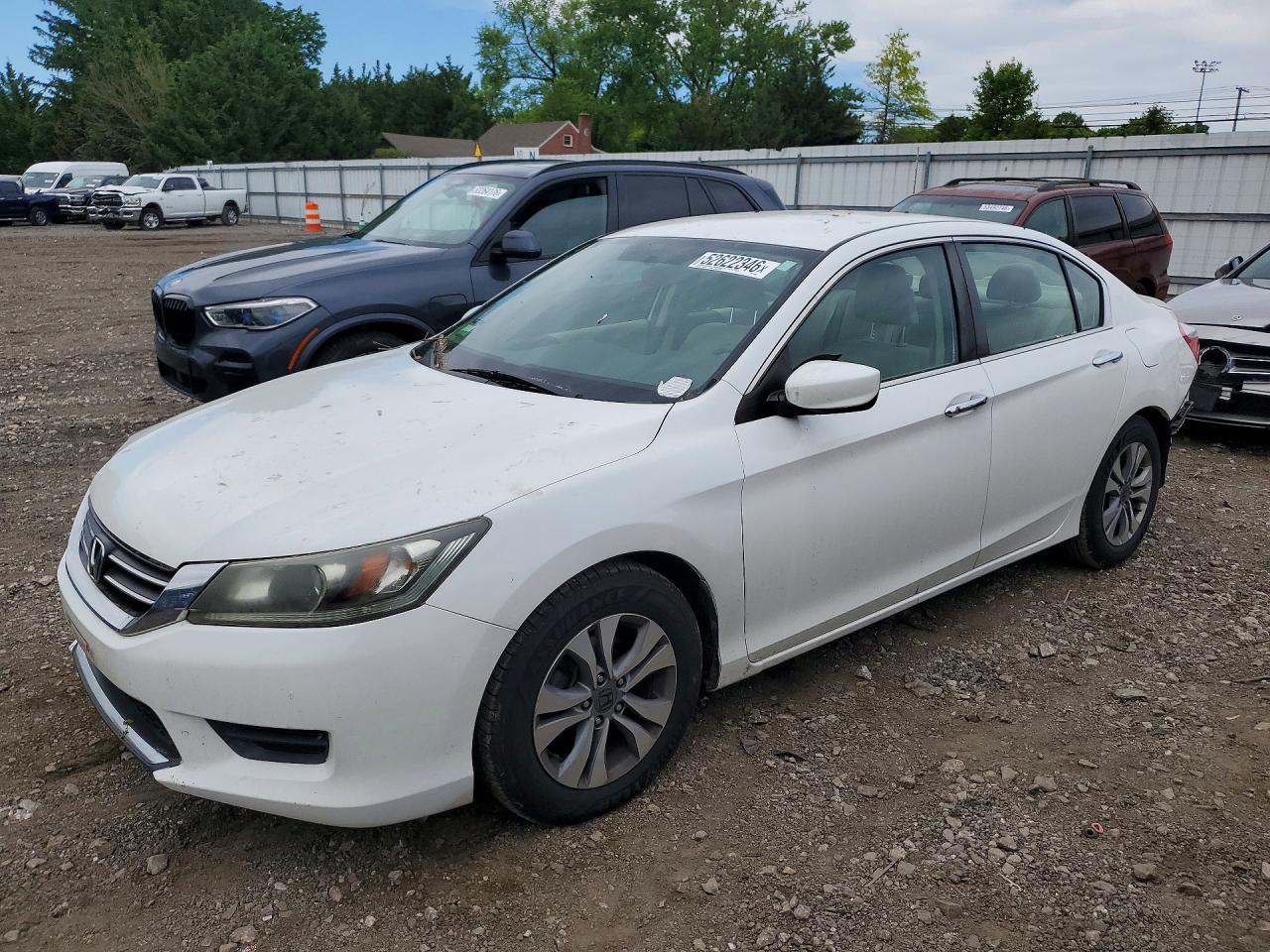 Salvage Honda Accord Image
