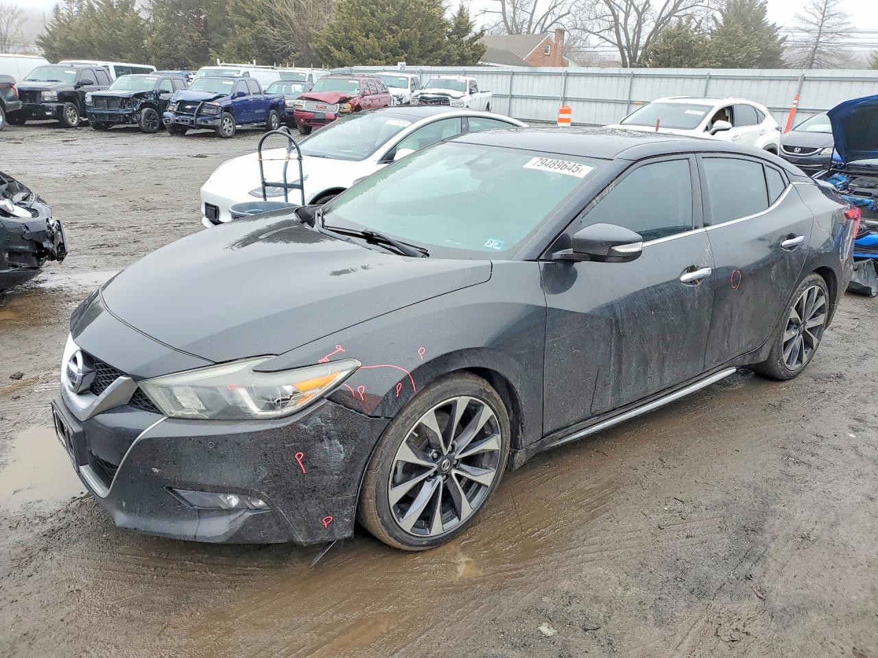 Salvage Nissan Maxima Image