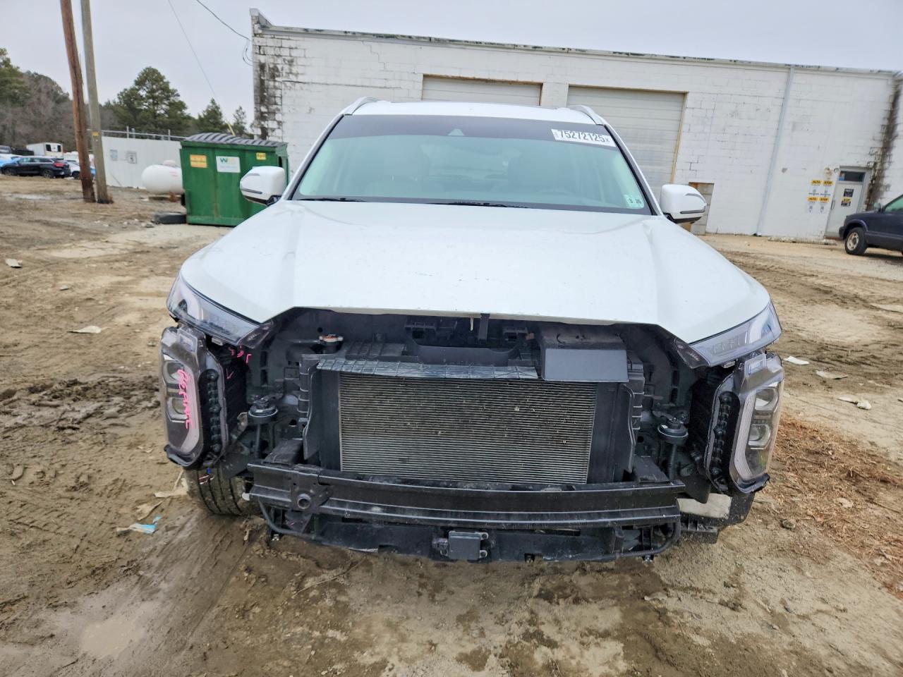 Hyundai PALISADE Calligraphy