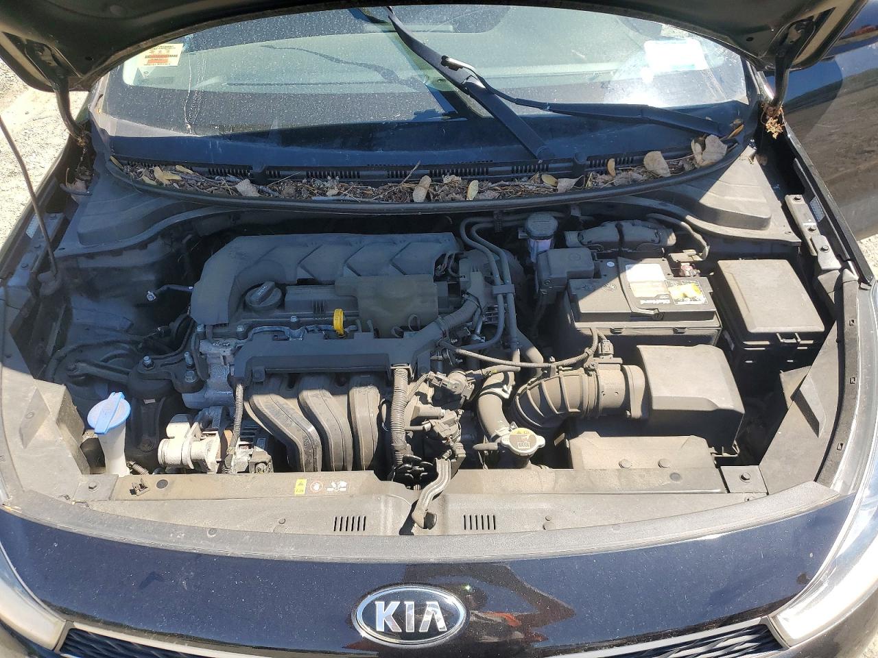 Kia Rio S