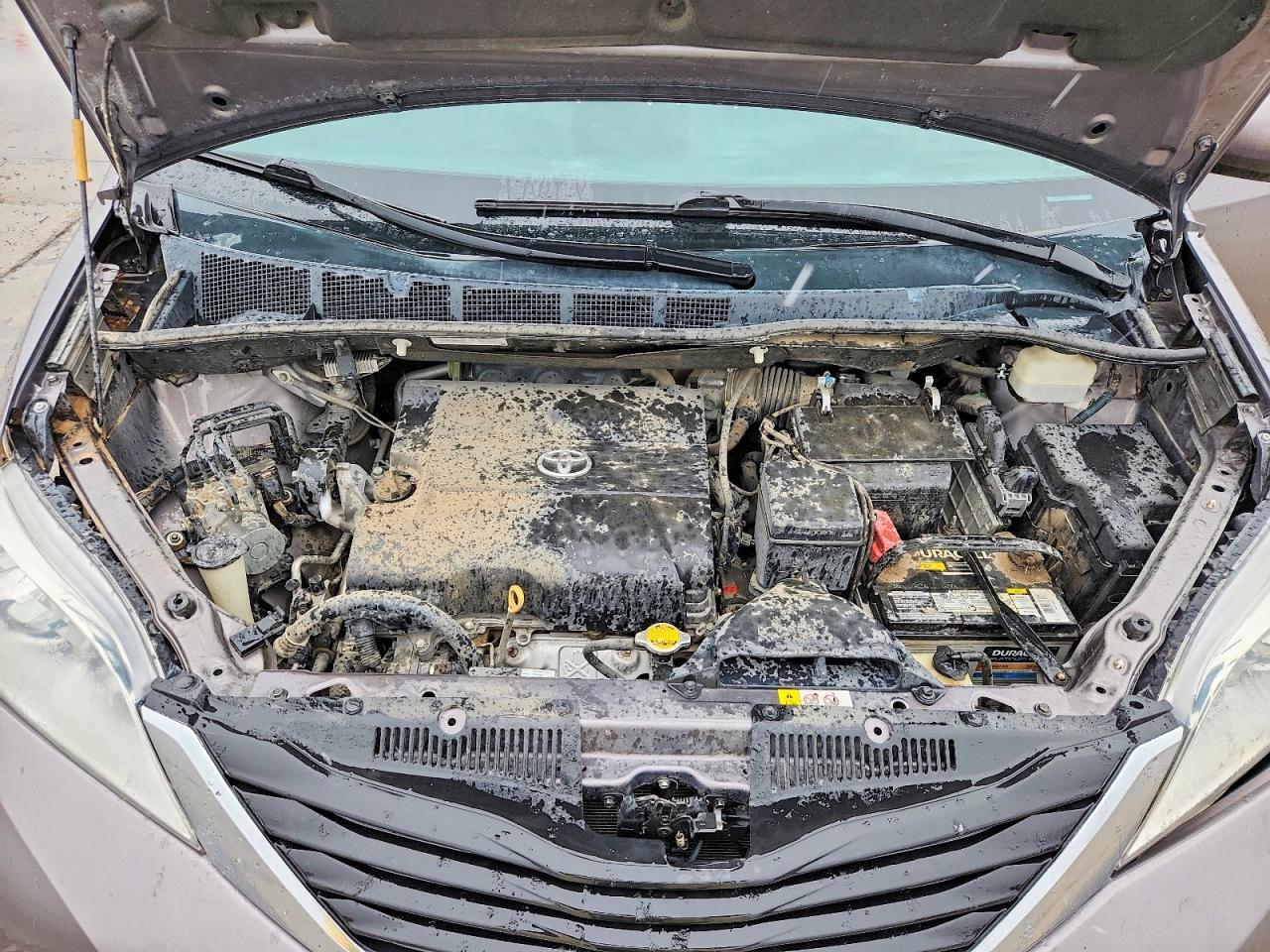 Toyota Sienna Le