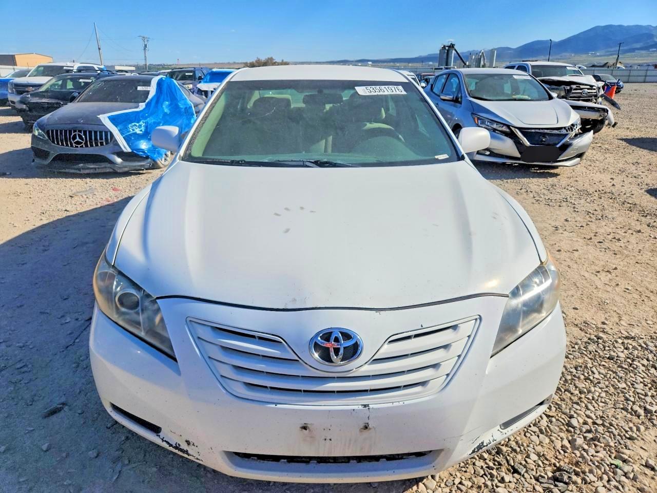 Toyota Camry Le V6