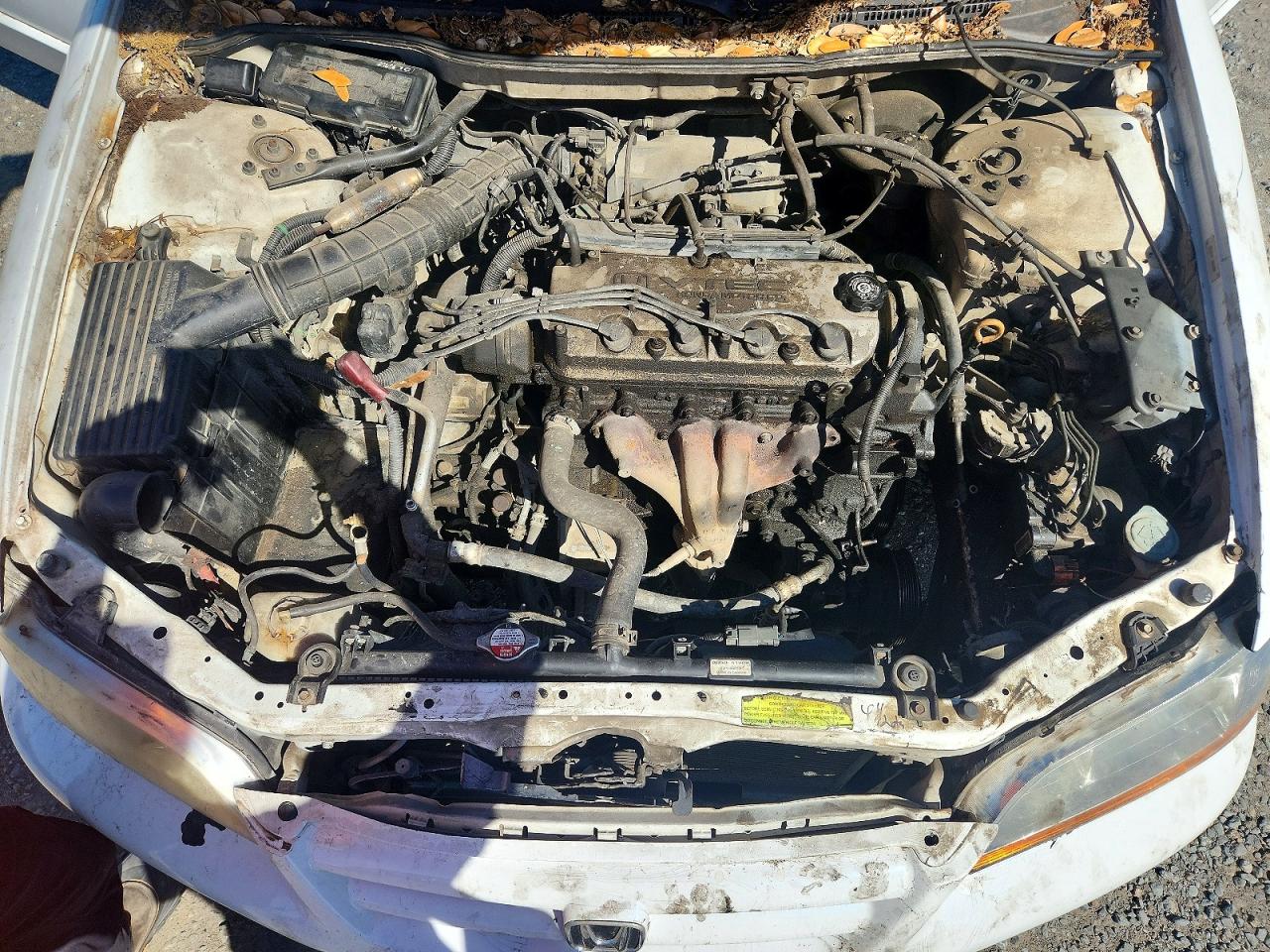 Honda Accord Ex