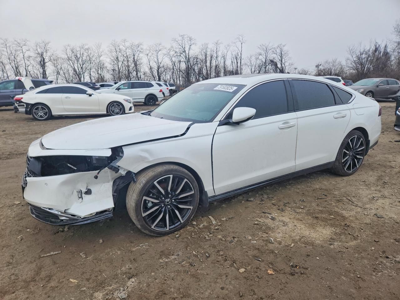 Salvage Honda Accord Image