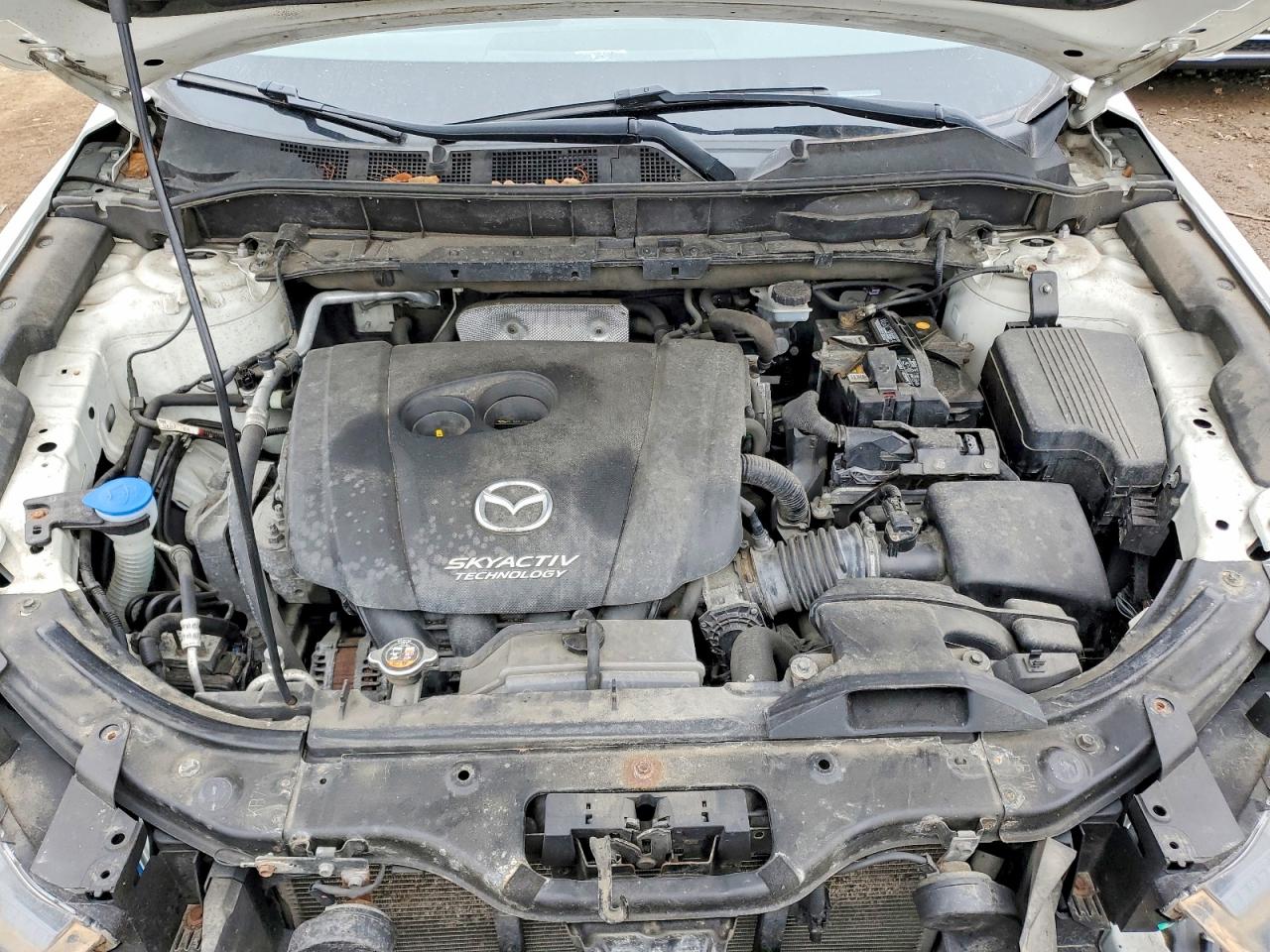 Mazda Cx Sport