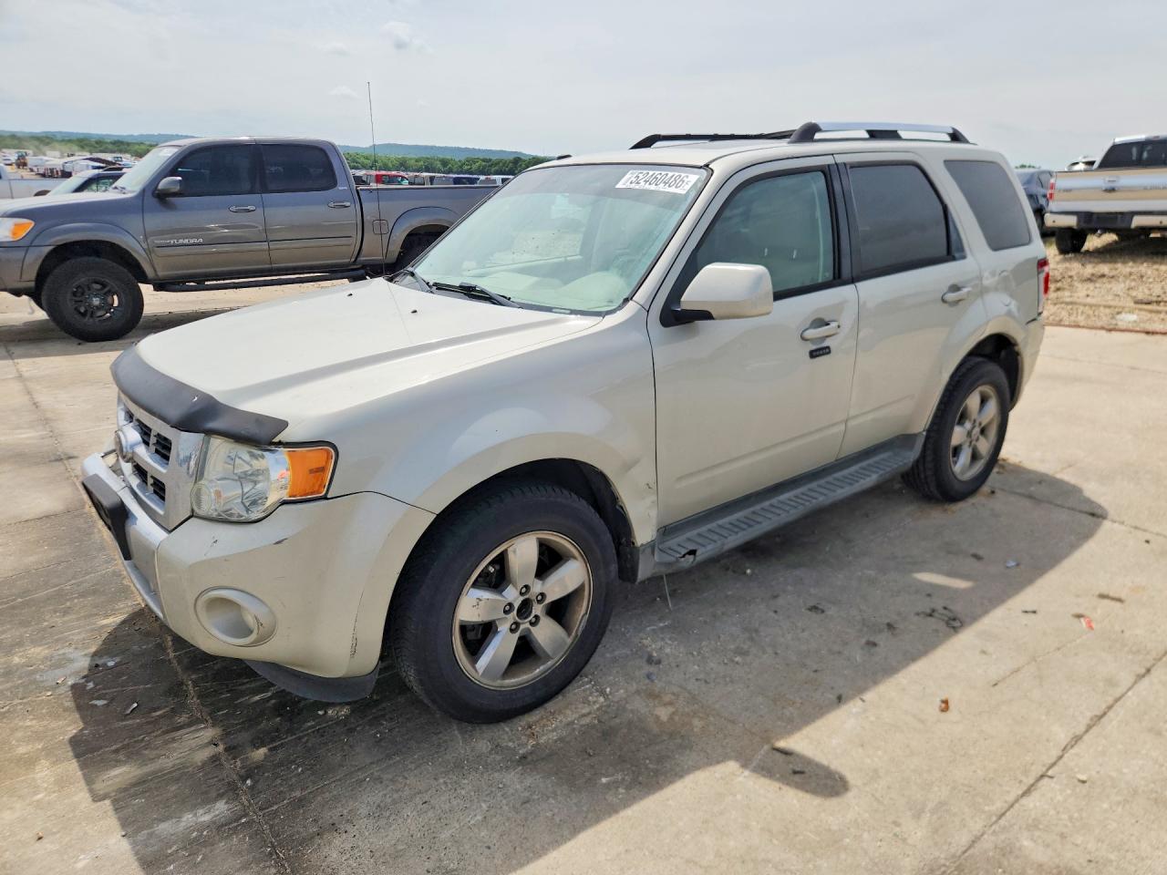 Salvage Ford Escape Image