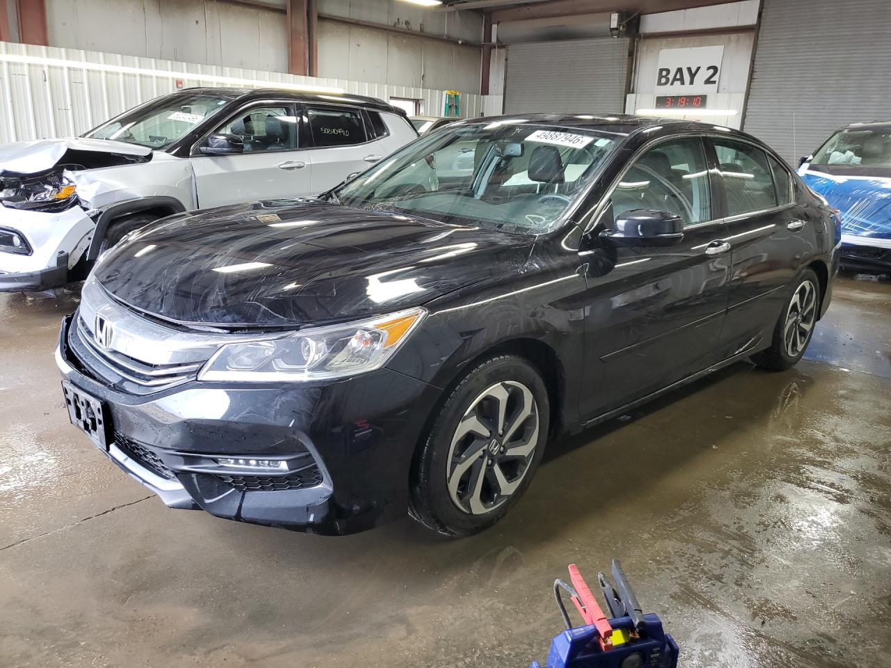 Salvage Honda Accord Image