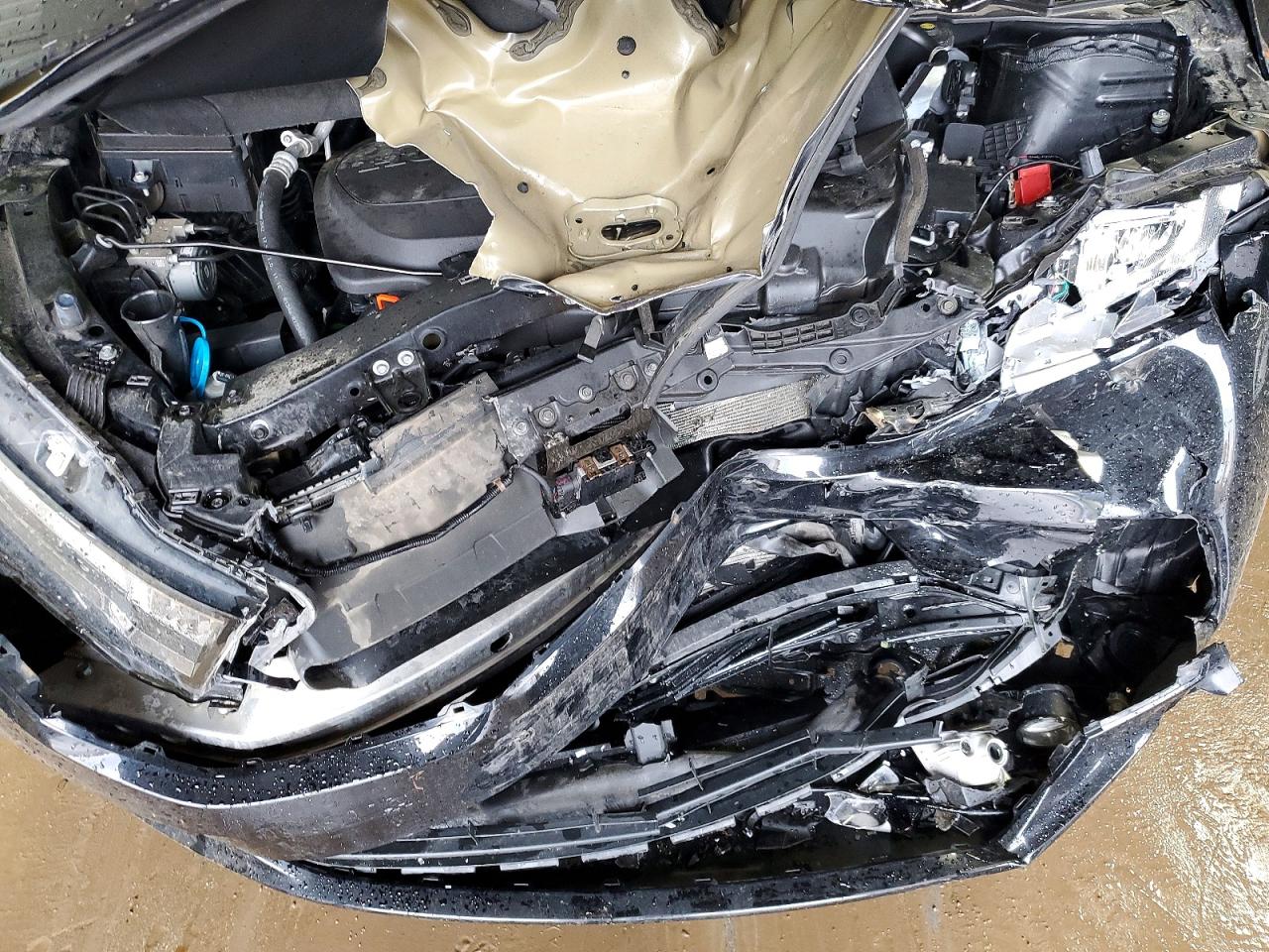 Honda Odyssey Exl