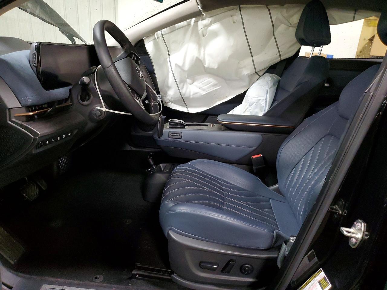 Nissan Ariya Platinum +