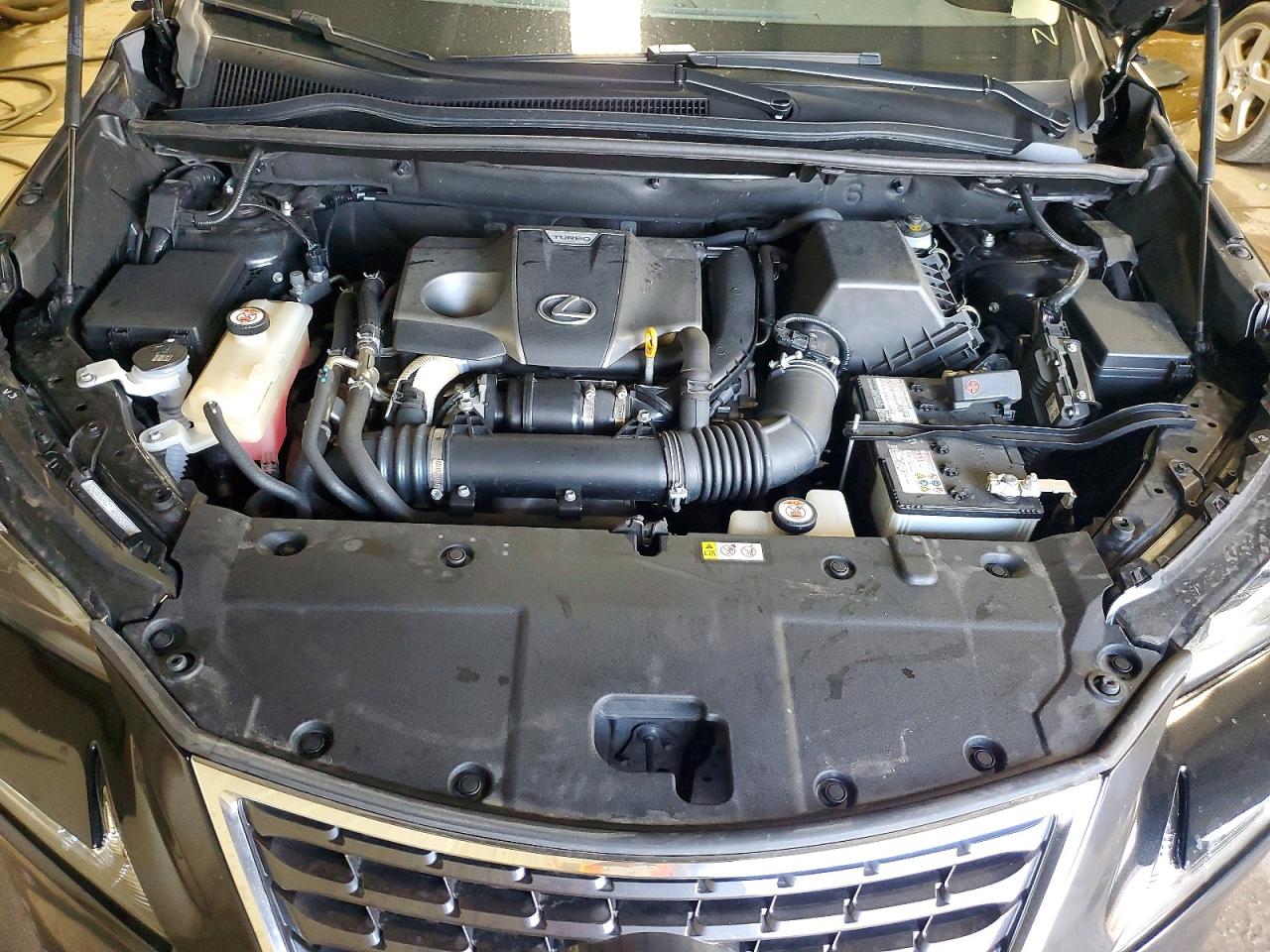 Lexus NX 300