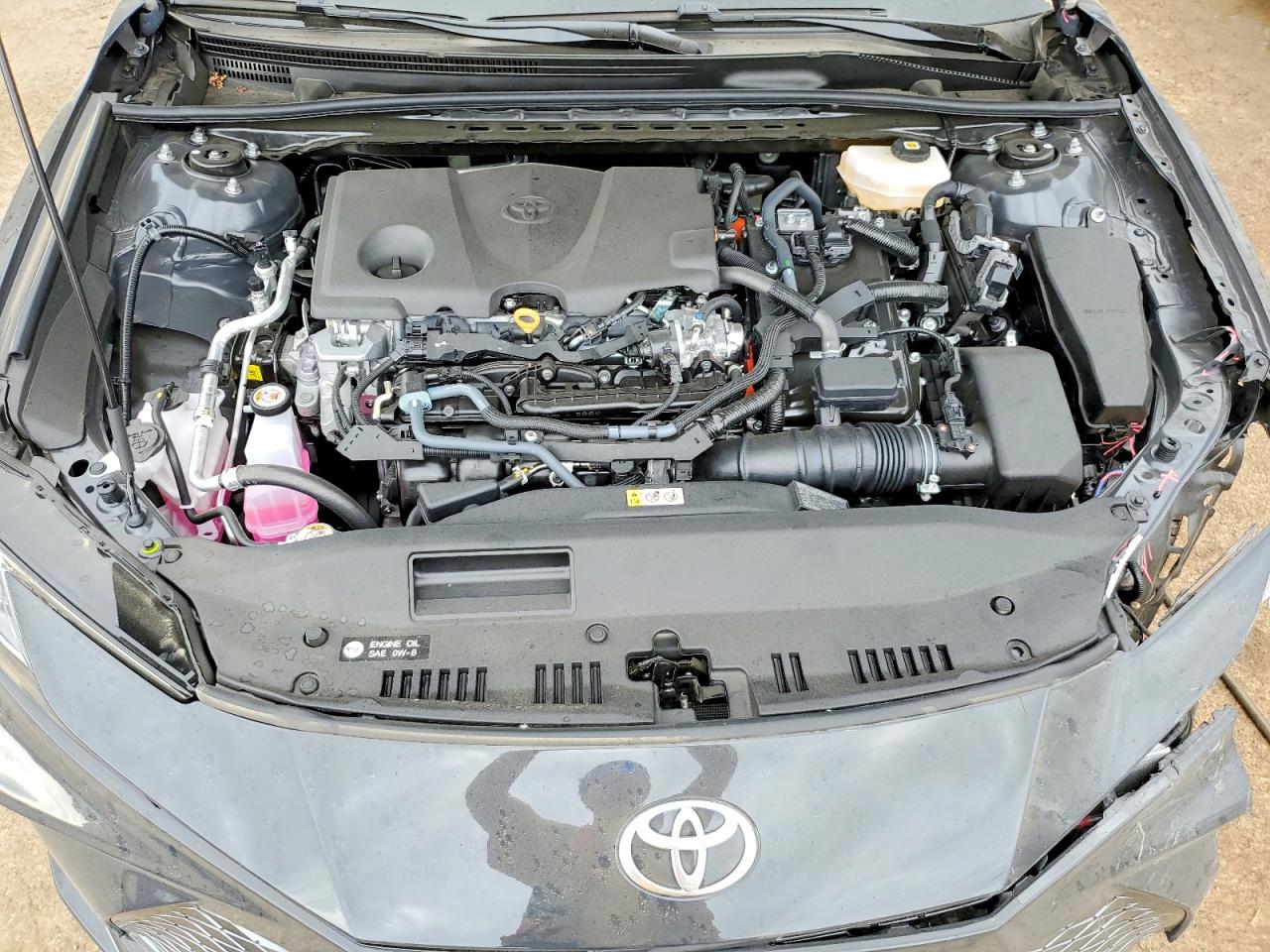 Toyota Camry Xle