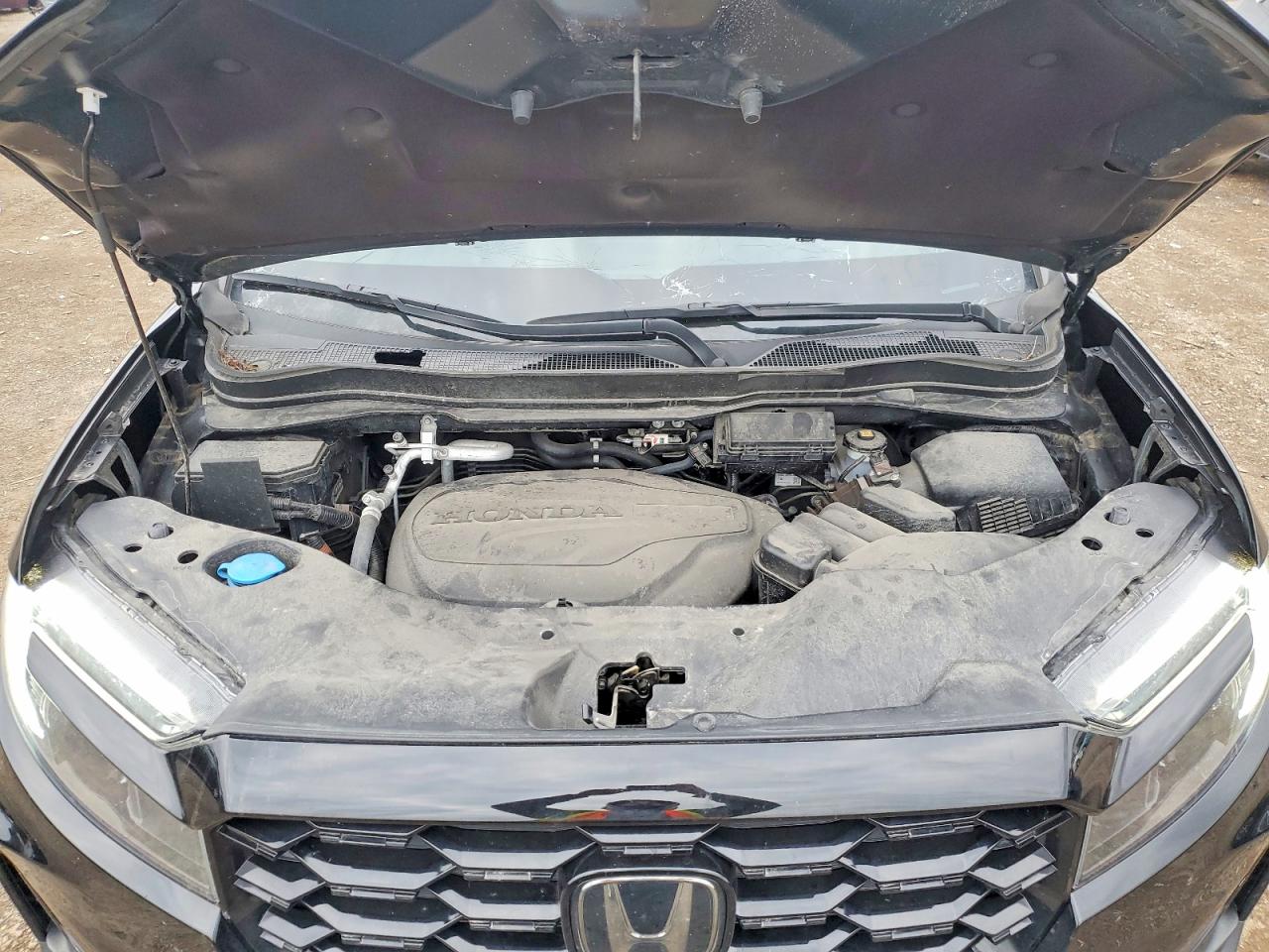 Honda Passport Elite