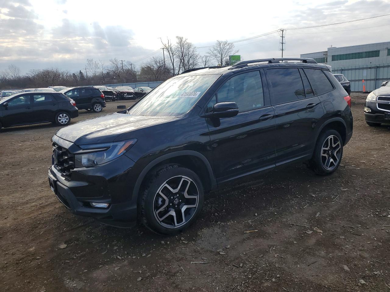 Salvage Honda Passport Image