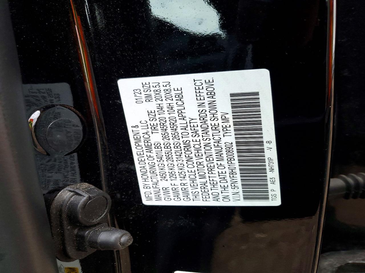Honda Passport Elite