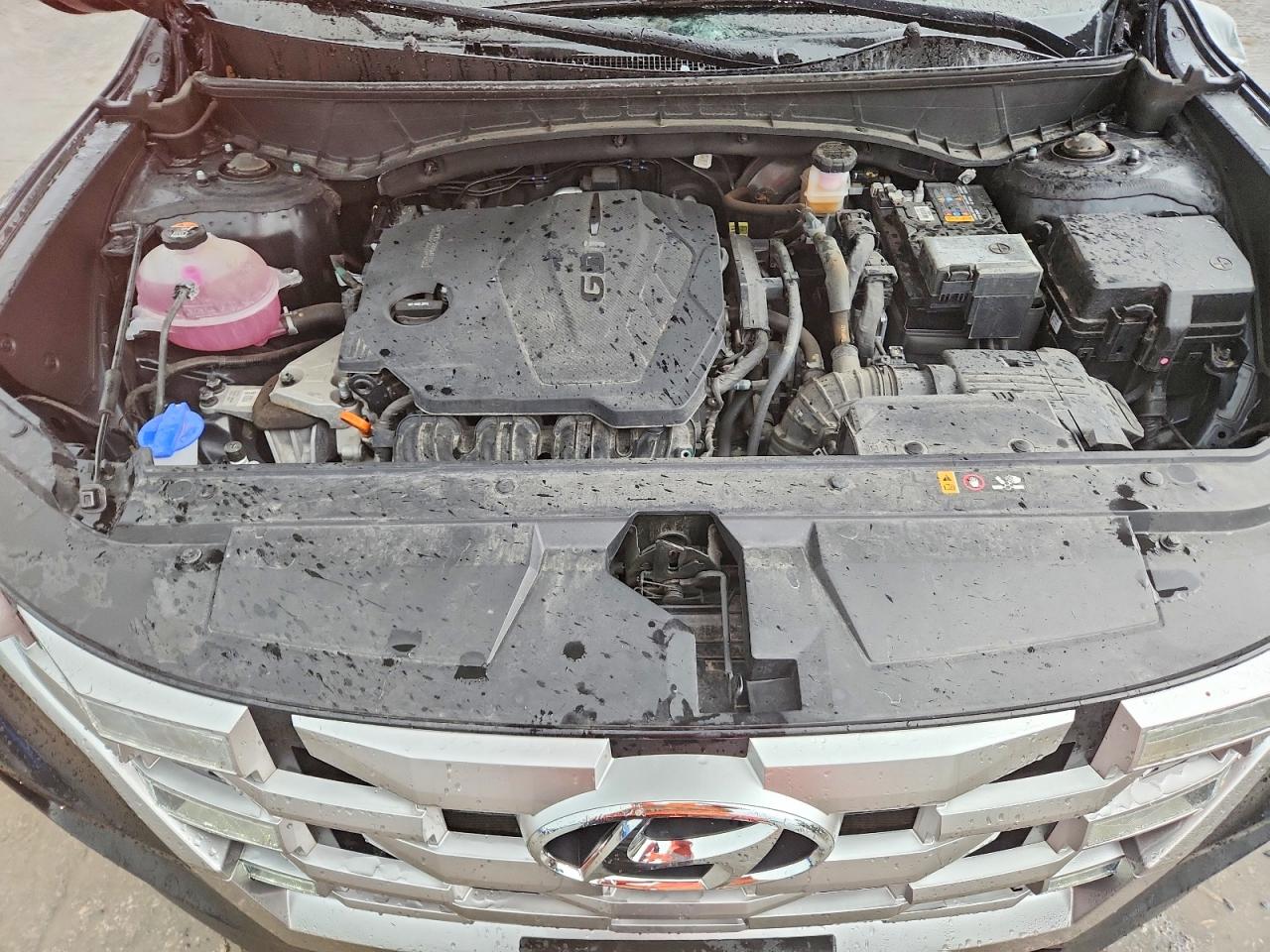 Hyundai SANTA CRUZ Se