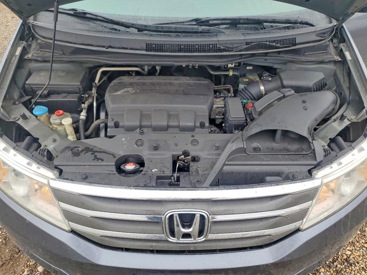 Honda Odyssey Exl