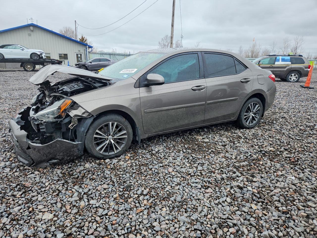 Salvage Toyota Corolla Image