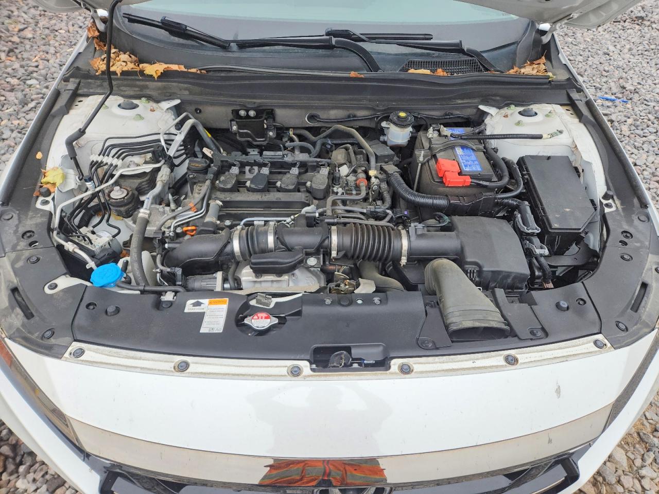 Honda Accord Sport Se