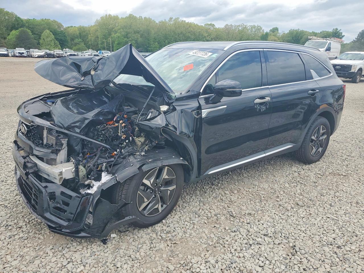 Salvage Kia Sorento Image