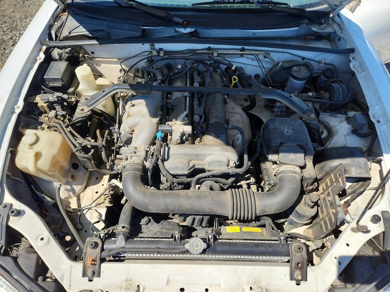 Mazda Mx5 Base