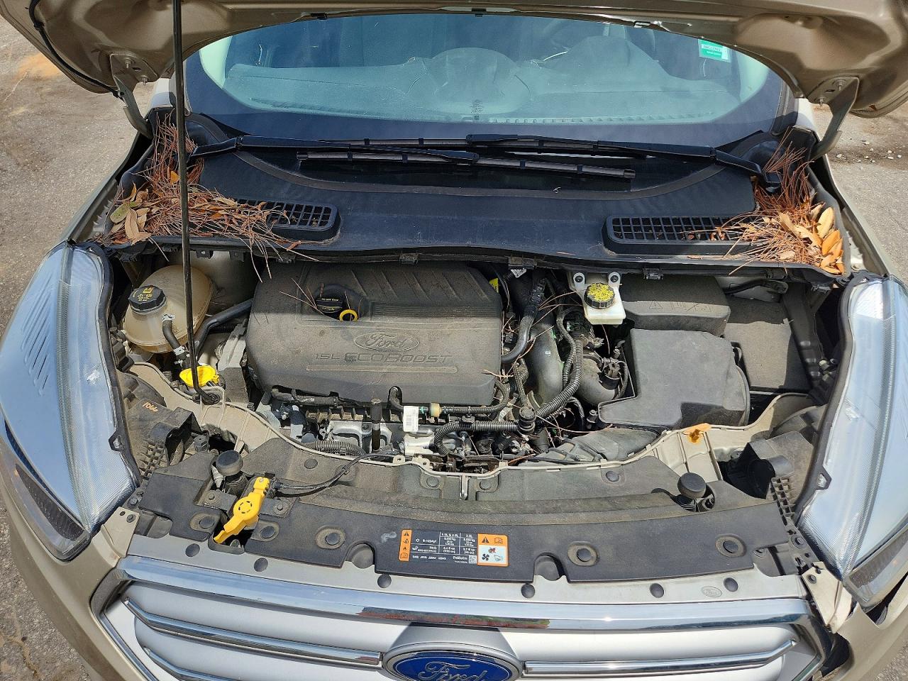Ford Escape Se