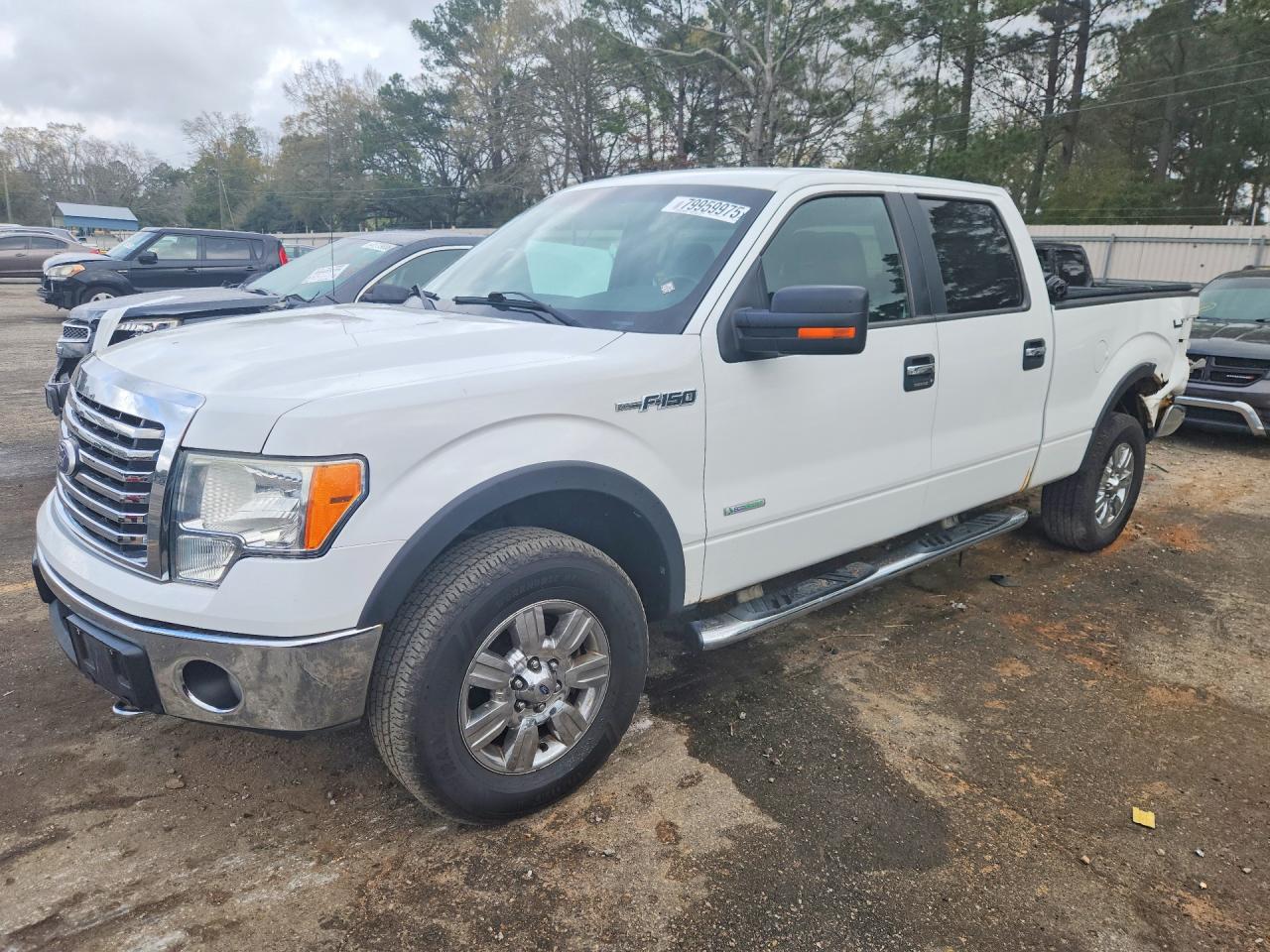 Salvage Ford F-150 Image