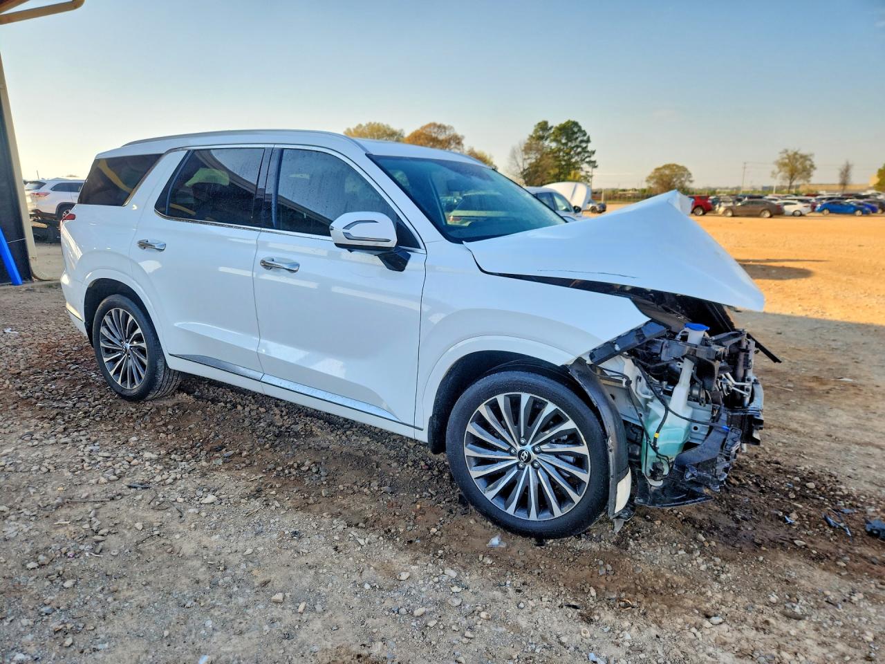 Hyundai PALISADE Calligraphy