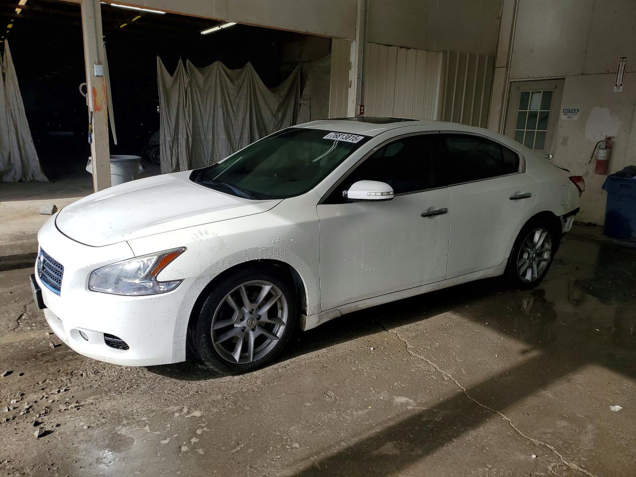 Salvage Nissan Maxima Image