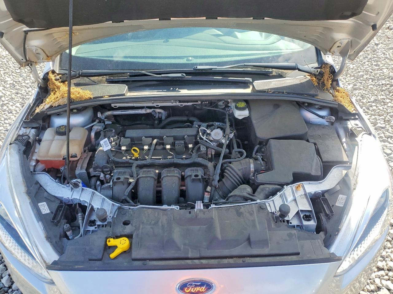 Ford Focus S