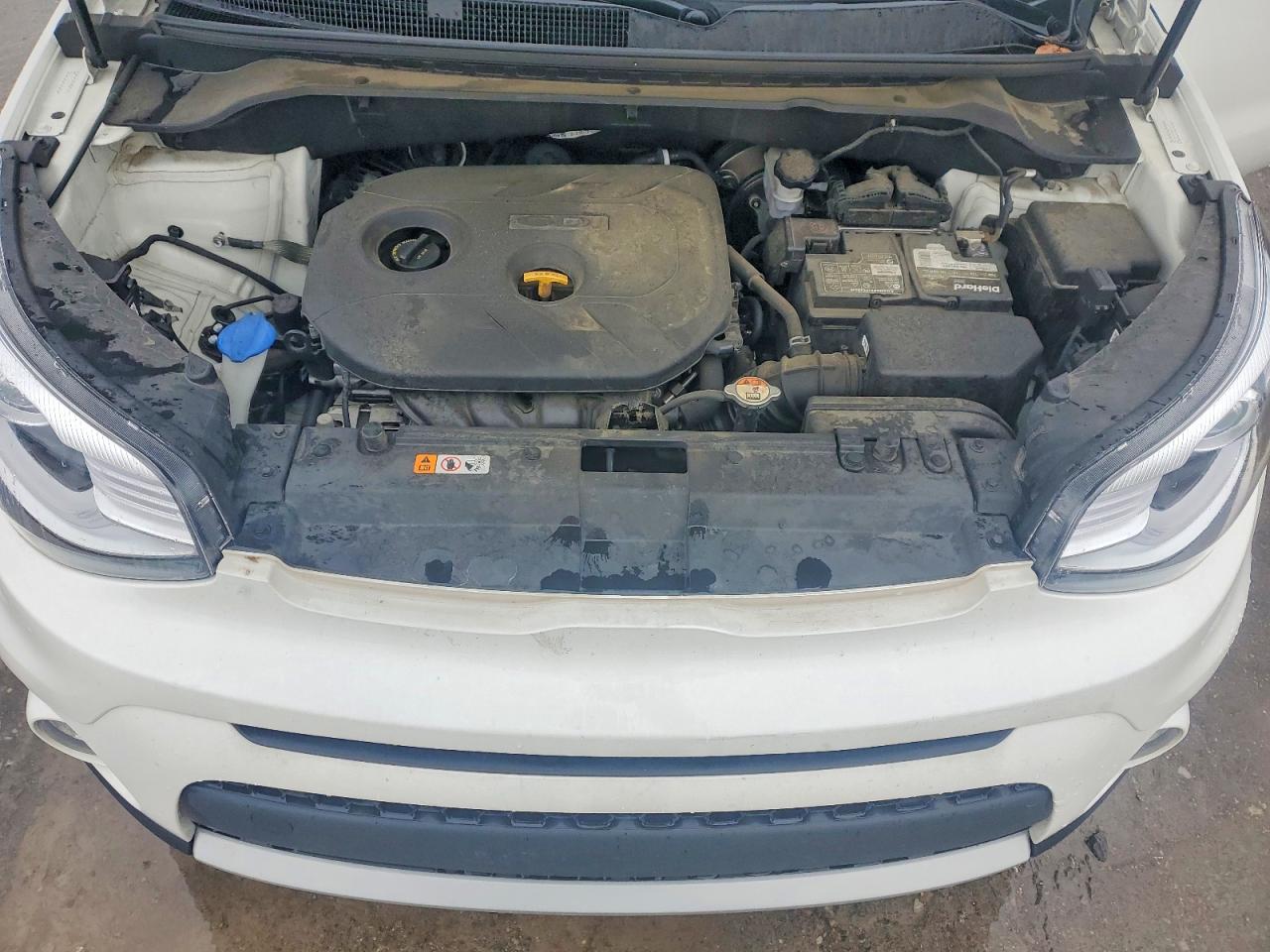Kia Soul +