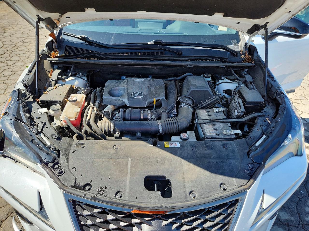 Lexus NX F Sport