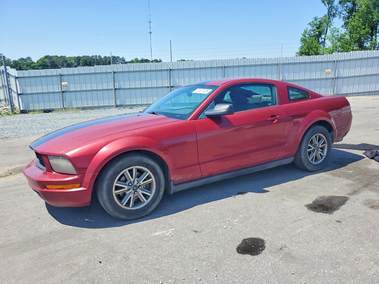 Salvage Ford Mustang Image