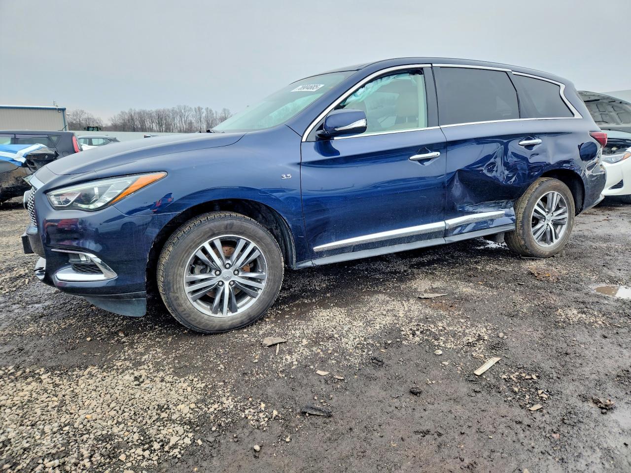 Salvage INFINITI Qx Image