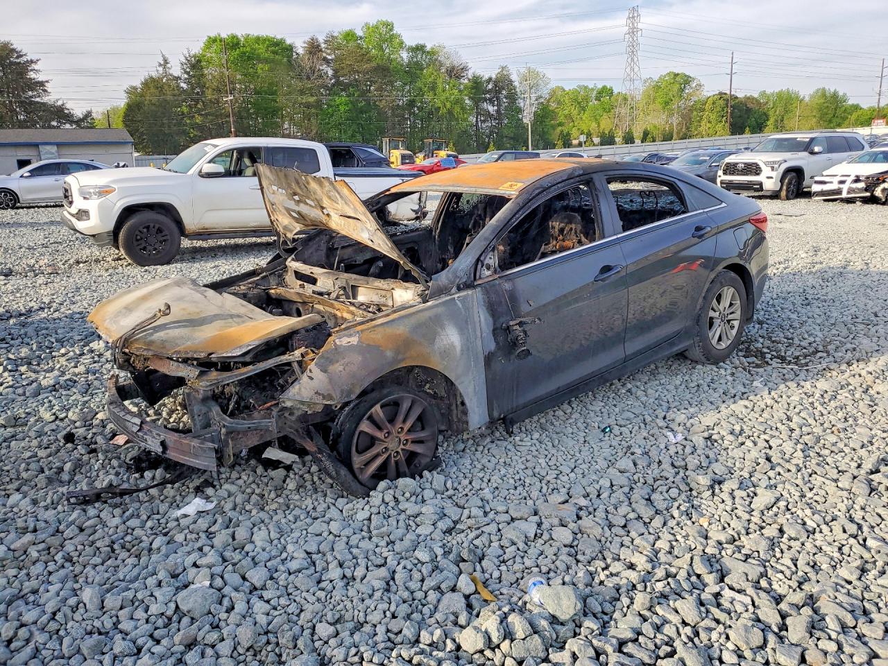 Salvage Hyundai SONATA Image