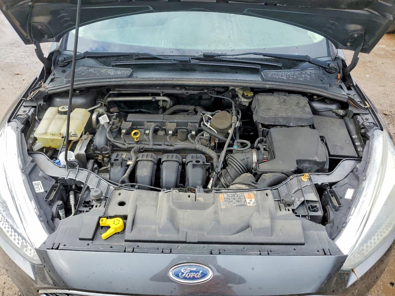 Ford Focus Se