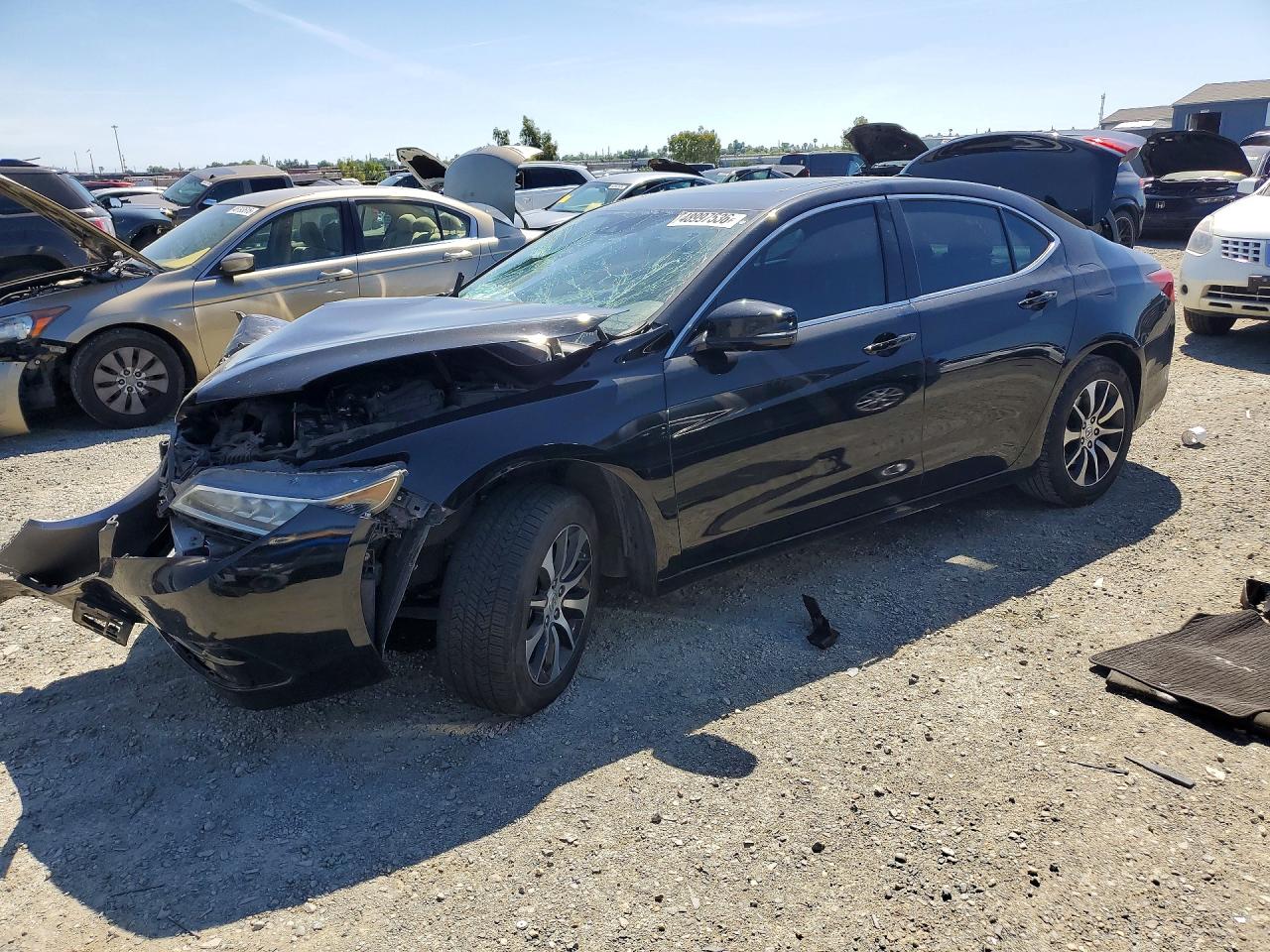 Salvage Acura TLX Image