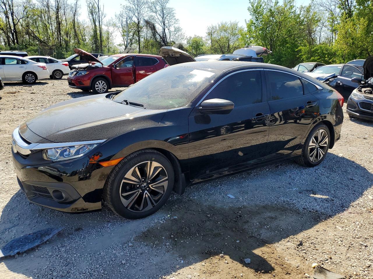 Salvage Honda Civic Image