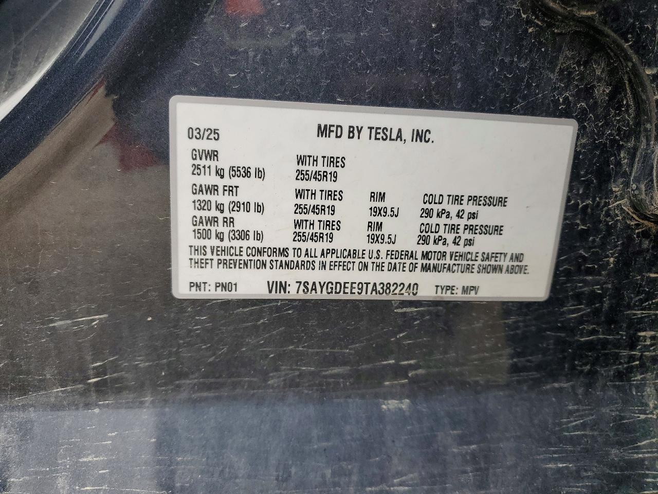 Tesla Model Y