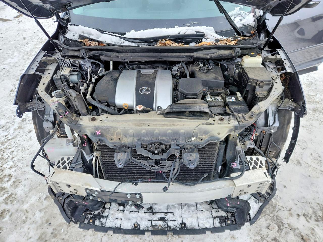 Lexus RX Base