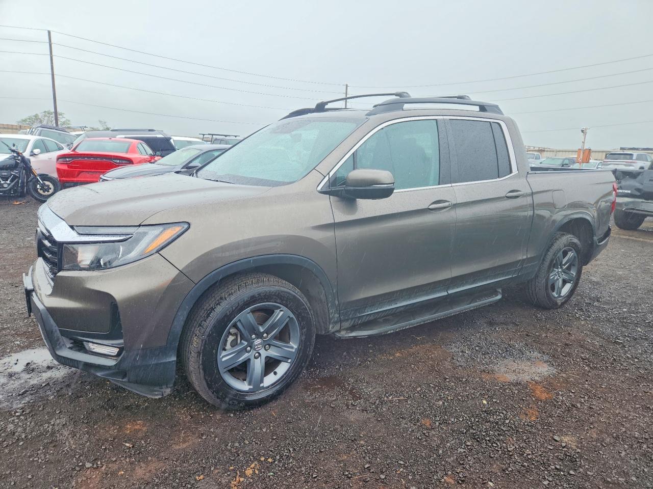 Salvage Honda Ridgeline Image