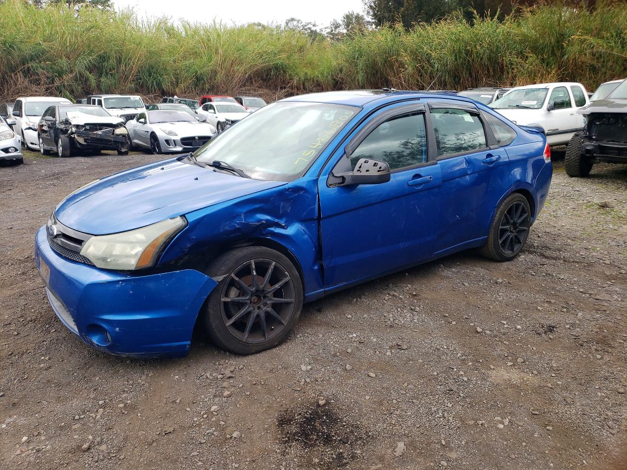 Salvage Ford Focus Image