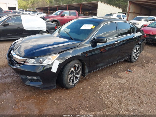 Honda Accord Ex-l V-6